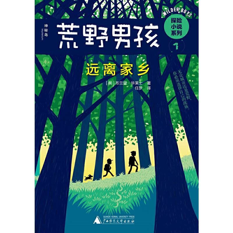 荒野男孩探险小说系列1：远离家乡