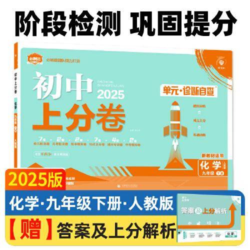 2025版理想树初中上分卷 九年级下册