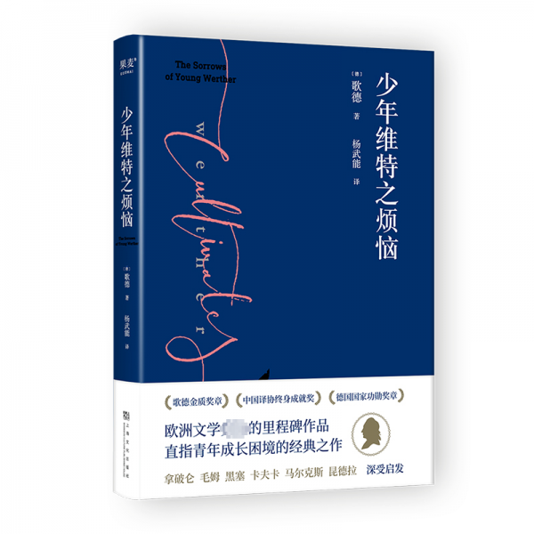 少年维特之烦恼