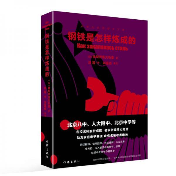 钢铁是怎样炼成的（中学生名师导读文库）