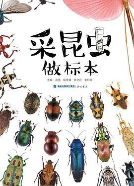 采昆虫 做标本