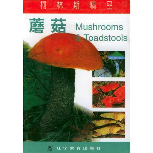 柯林斯精品