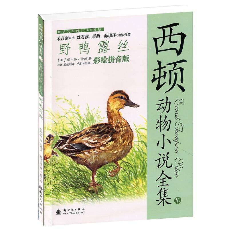 野鸭露丝