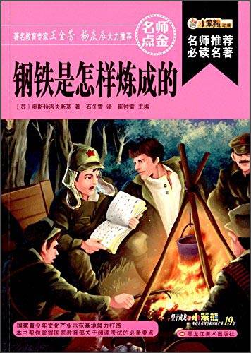 钢铁是怎样炼成的/名师推荐必读名著(32开)