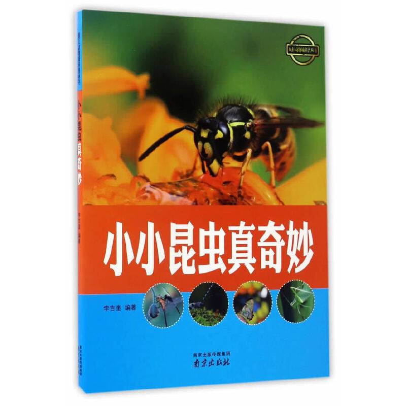 小小昆虫真奇妙/疯狂动物城科普丛书