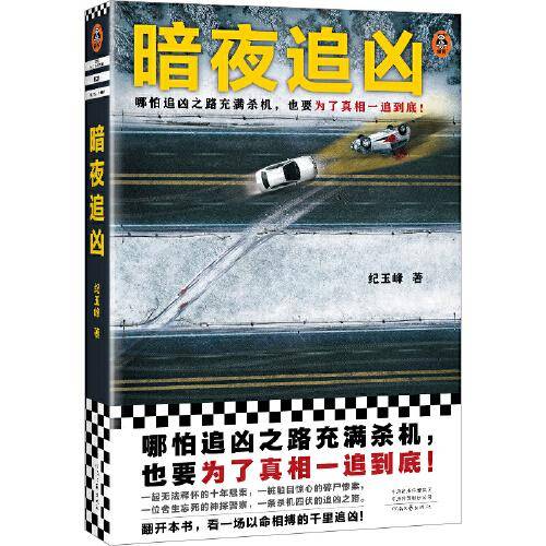 暗夜追凶（哪怕追凶之路充满杀机，也要为了真相一追到底！采访多位一线工作人员取材，警察朋友把关创作）（读客知识小说文库）