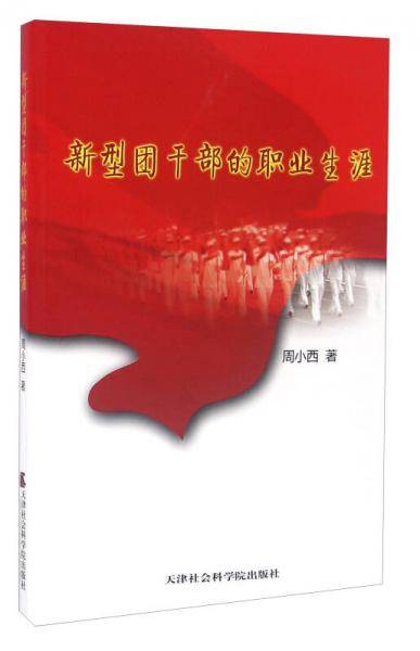 新型团干部的职业生涯