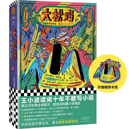 大松鸡（王小波读完十年不敢写小说！图尼埃短篇代表作精选。生活看似平淡无奇，却又处处充满惊奇。）（读客彩条外国文学文库）