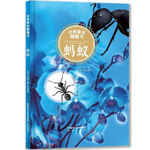 动物美绘翻翻书