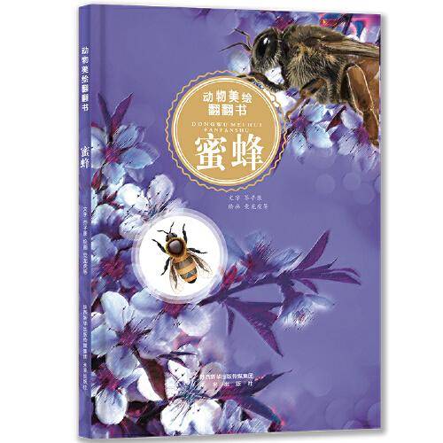 动物美绘翻翻书