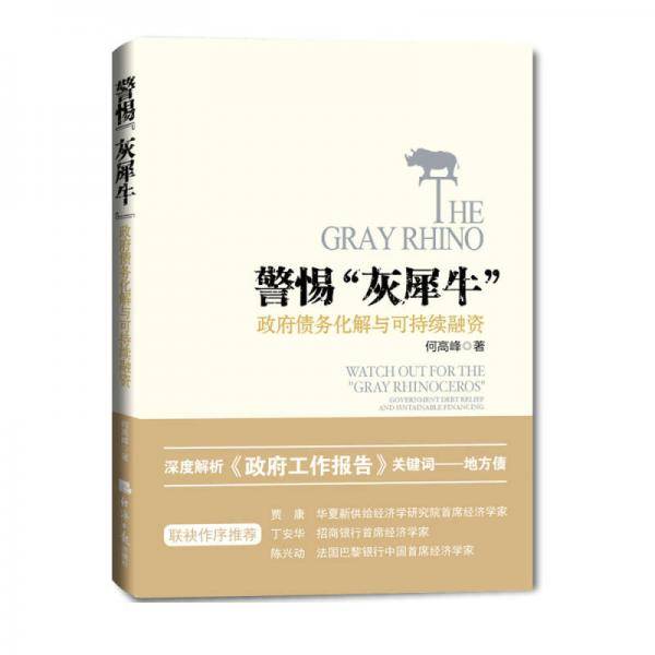 警惕“灰犀牛”：政府债务化解与可持续融资