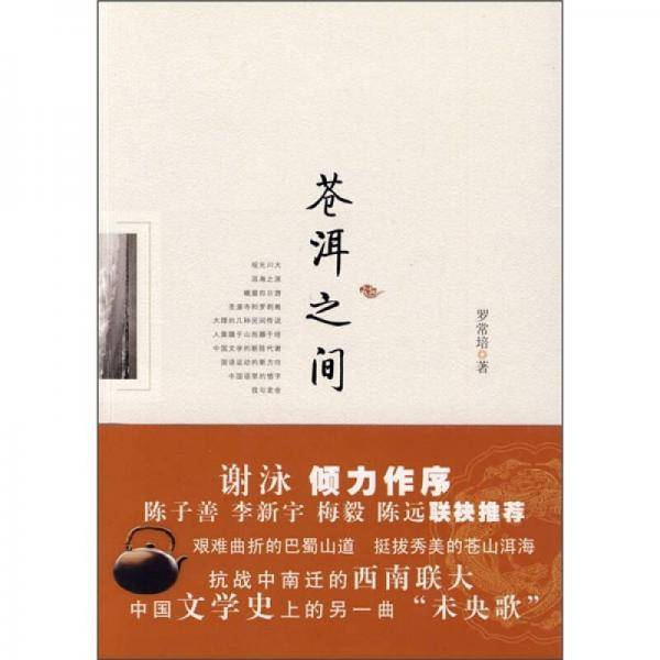 苍洱之间