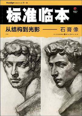 从结构到光影