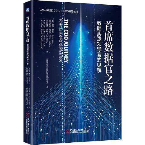 首席数据官之路 数据实践领导者的见解