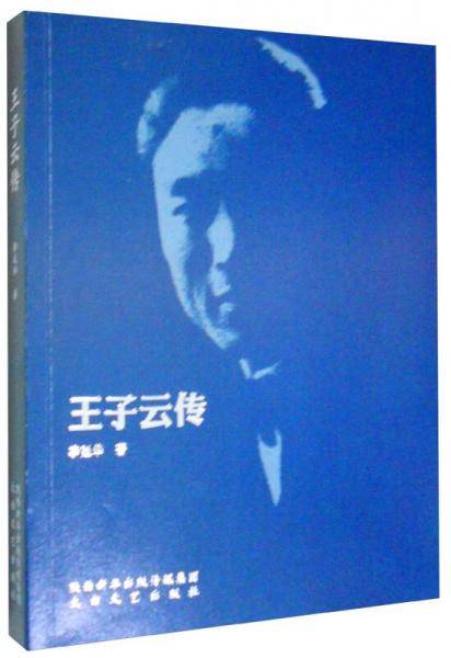 王子云传