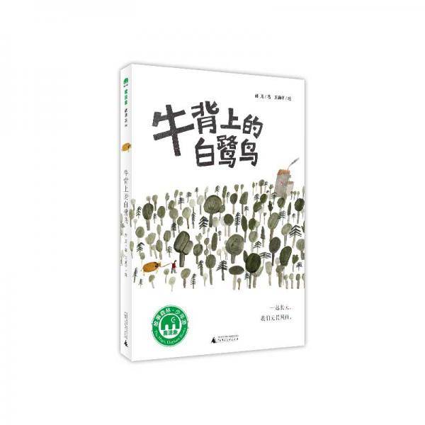 牛背上的白鹭鸟
