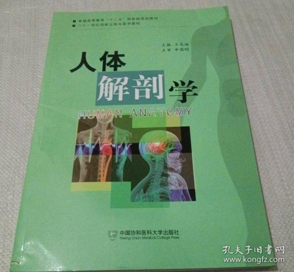 人体解剖学