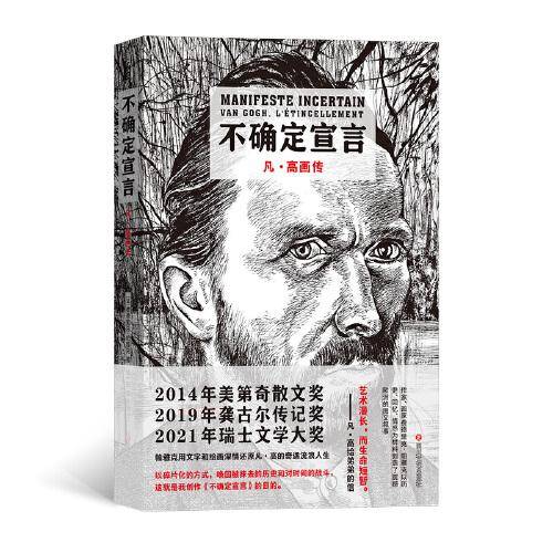 不确定宣言：凡·高画传