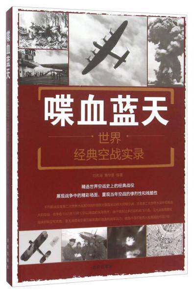 喋血蓝天・世界经典空战实录
