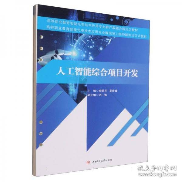 人工智能综合项目开发