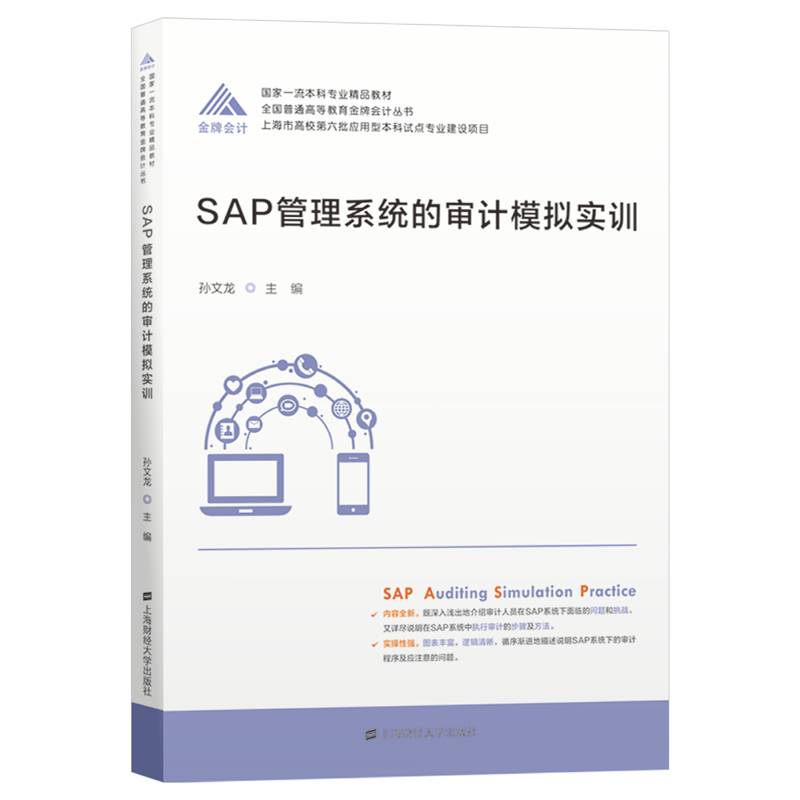 SAP管理系统的审计模拟实训