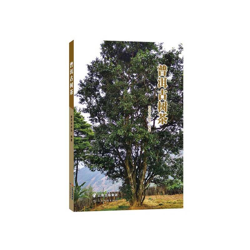 《普洱古树茶》