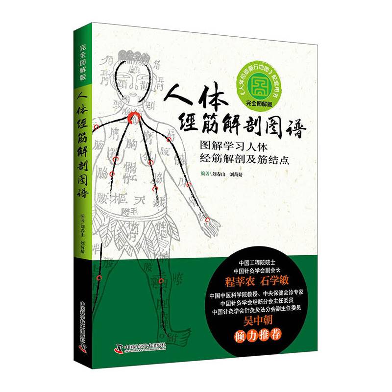人体经筋解剖图谱 图解学习人体经筋解剖及筋结点