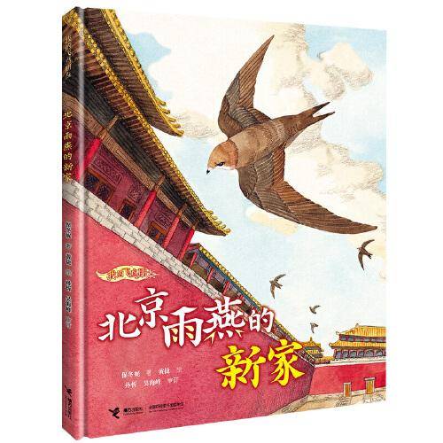 我的飞鸟朋友：北京雨燕的新家
