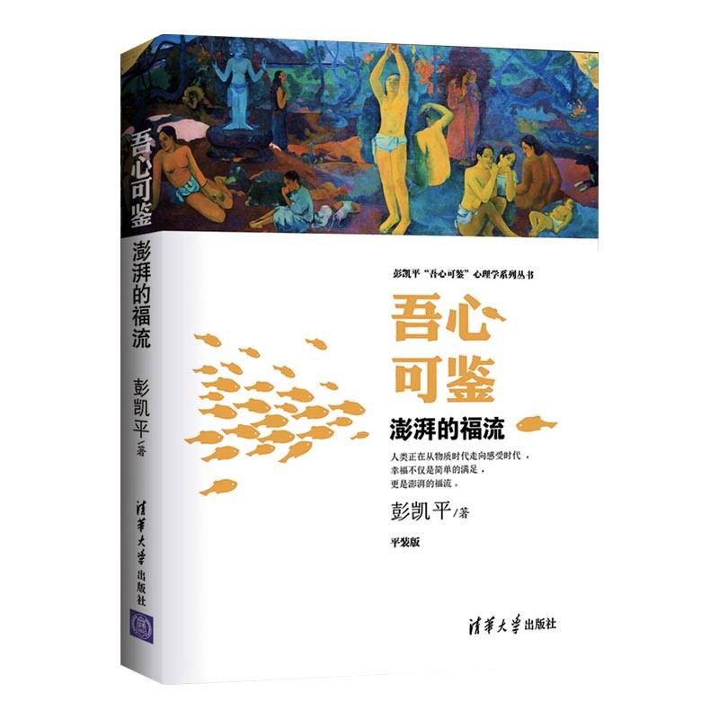 吾心可鉴 澎湃的福流  便携平装版