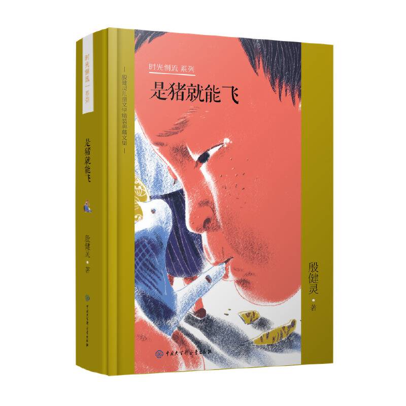殷健灵儿童文学精装典藏文集--是猪就能飞