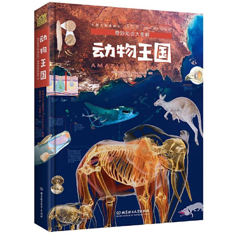动物王国(精)/奇妙知识大图解