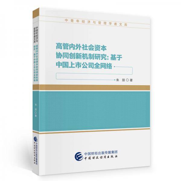 高管内外社会资本协同创新机制研究