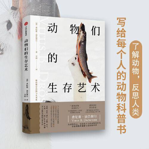 动物们的生存艺术