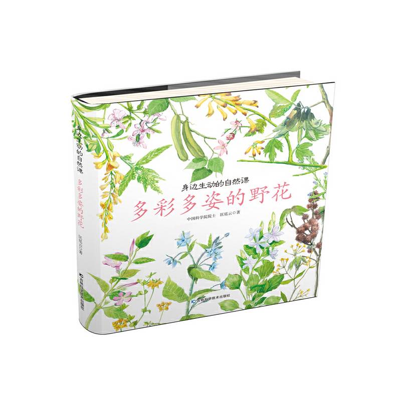 身边生动的自然课-多彩多姿的野花