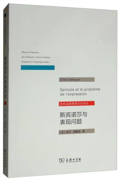 斯宾诺莎与表现问题