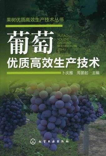 葡萄优质高效生产技术