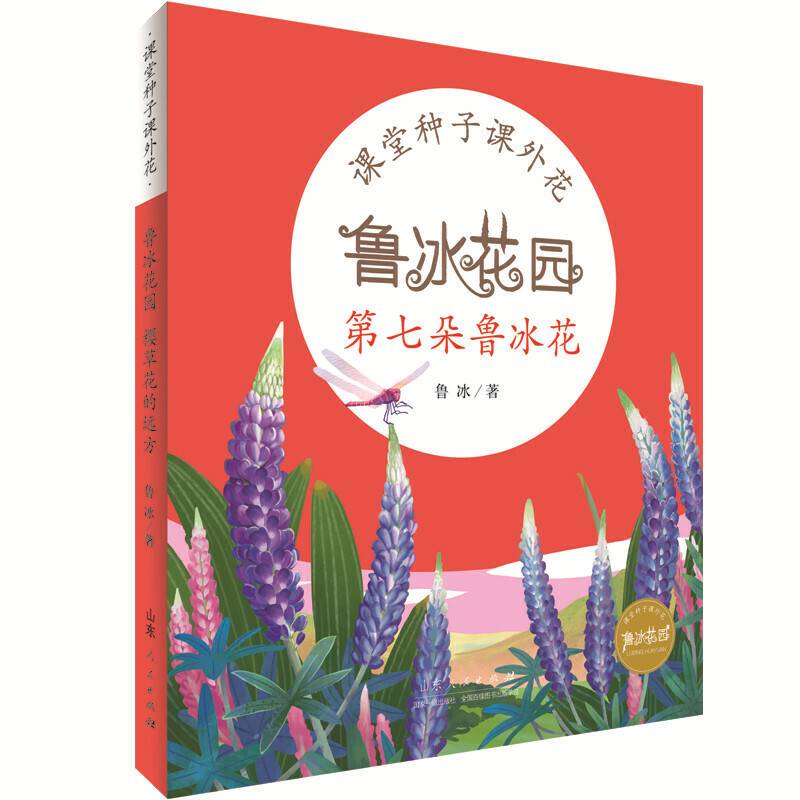 鲁冰花园第七朵鲁冰花