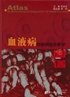 血液病超微病理诊断学图谱