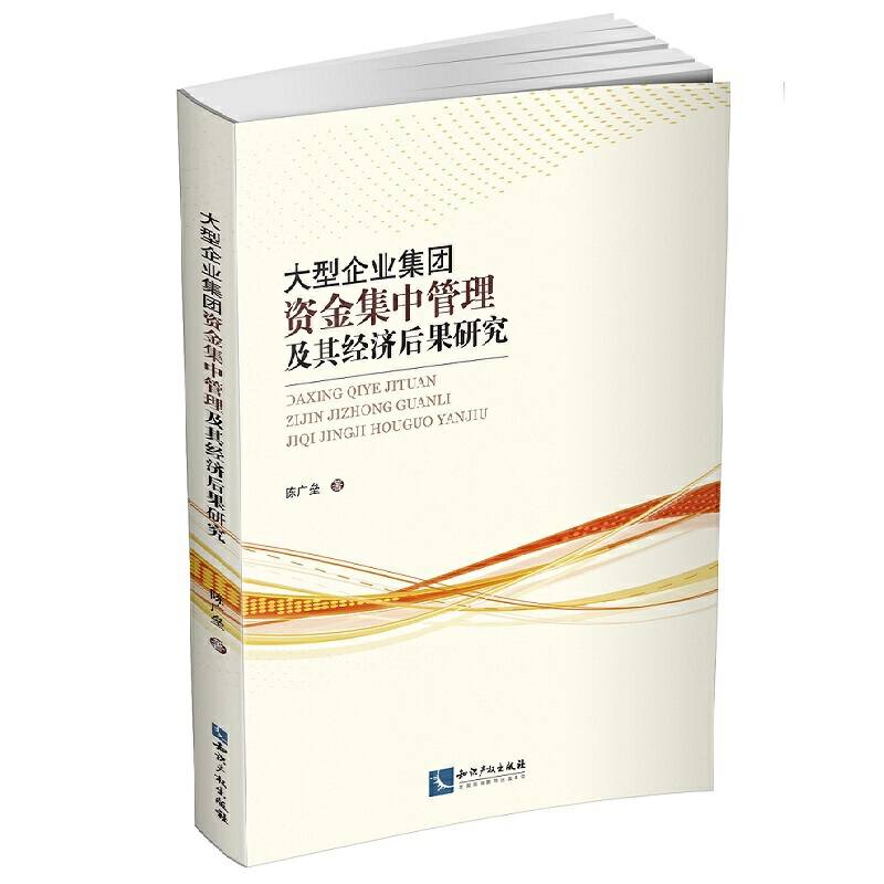 大型企业集团资金集中管理及其经济后果研究