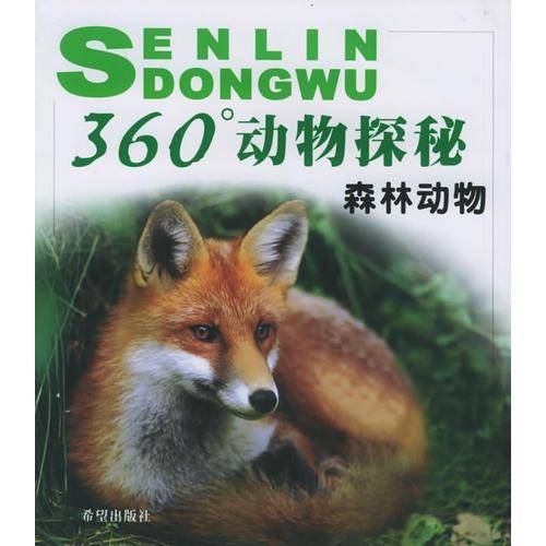 鸟类海洋动物