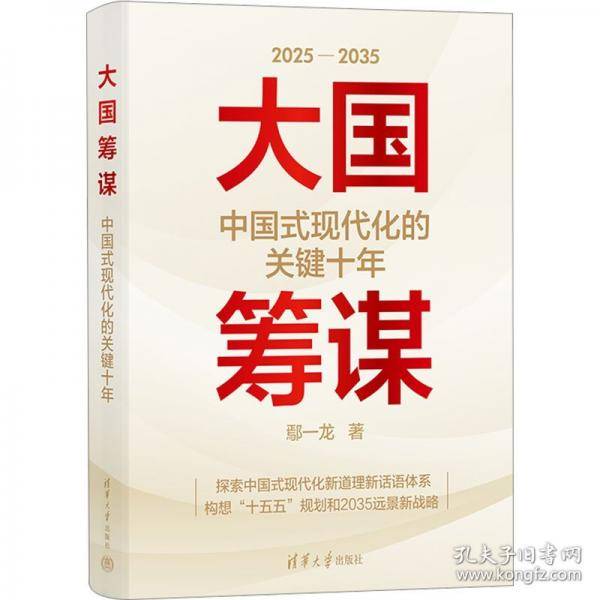 大国筹谋：中国式现代化的关键十年