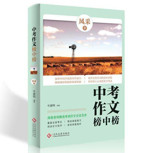 阅卷老师推选:中考作文榜中榜・风采卷