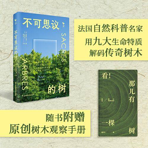 不可思议的树