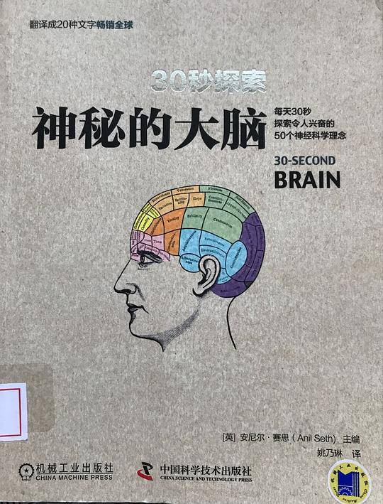 30秒探索：神秘的大脑