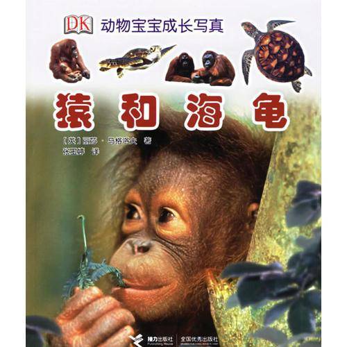 猿和海龟