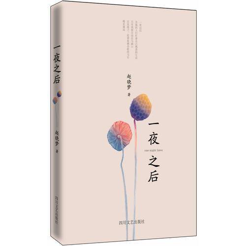 一夜之后