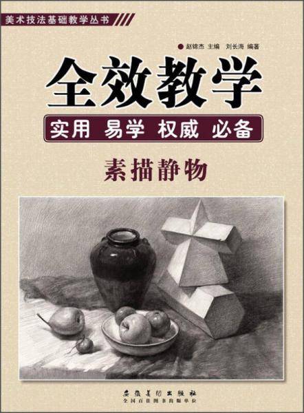 美术技法基础教学丛书：全效教学・素描静物