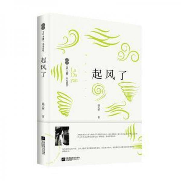全新正版图书 起风了陆大雁江苏凤凰文艺出版社9787559472090