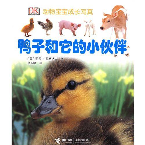 鸭子和它的小伙伴