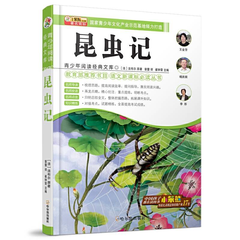 青少年阅读经典文库:昆虫记